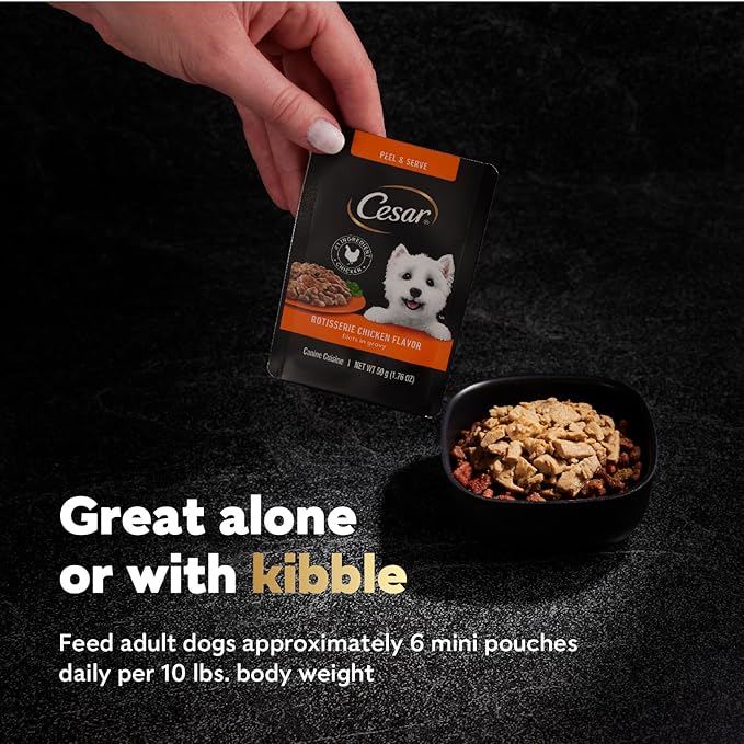 Cesar Filets in Gravy Wet Dog Food Rotisserie Chicken Flavor, 1.76 oz. Mini-Pouch, 20 Pack