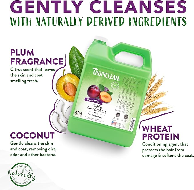 TropiClean High Concentrate Dog Shampoo, Professional Grade & Size for Groomers, 42:1 Dilution, Puppy Safe, USA Made, Pure Plum Scent, 1 Gallon