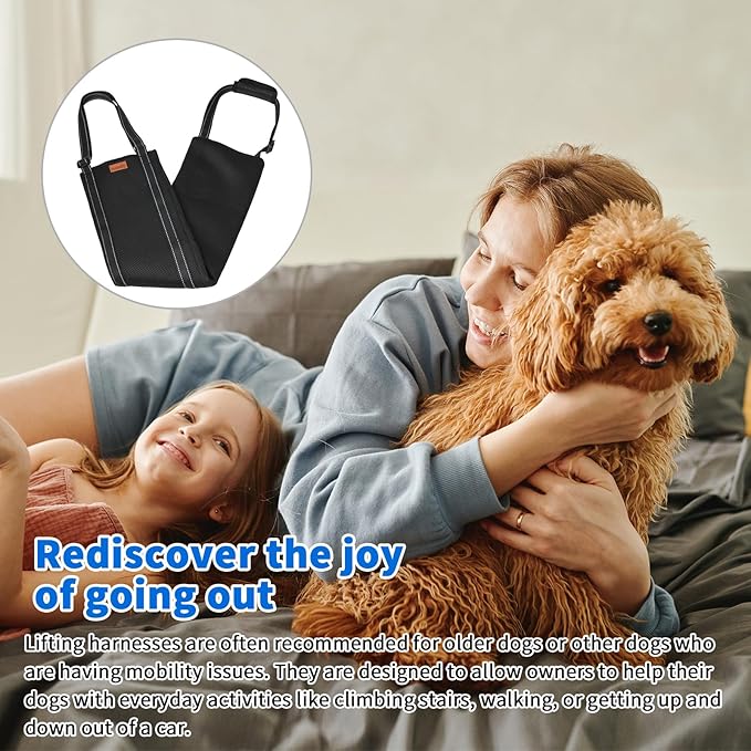 LOOBANI Portable Dog Sling for Back Legs, Hip Support Harness to Help Lift Dogs Rear for Canine Aid and Old K9 Cruciate Ligament Rehabilitation