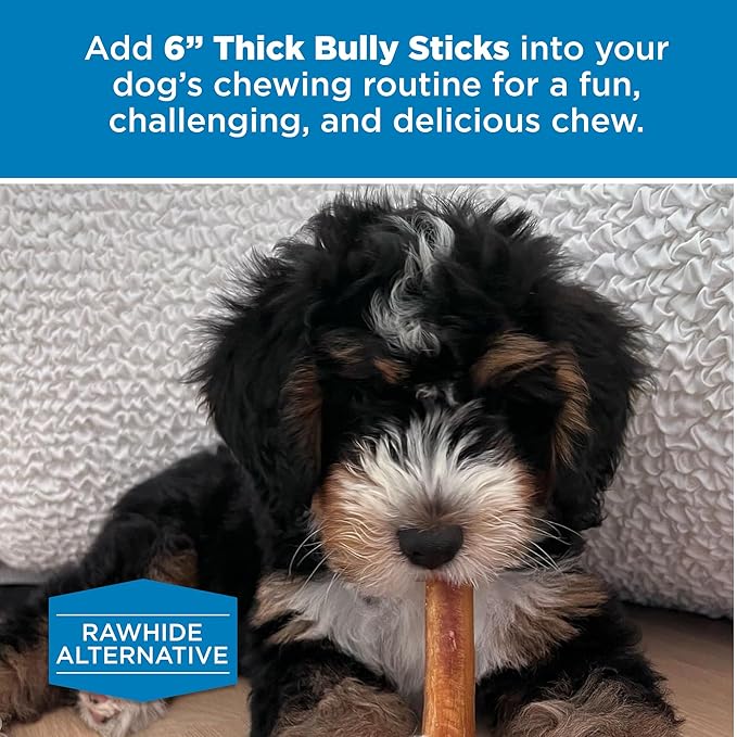 Best Bully Sticks All Natural 6 Inch Thick Bully Sticks for Large Dogs - 100% Free-Range Grass-Fed Beef - Single-Ingredient Grain & Rawhide Free Dog Chews - 18 Pack