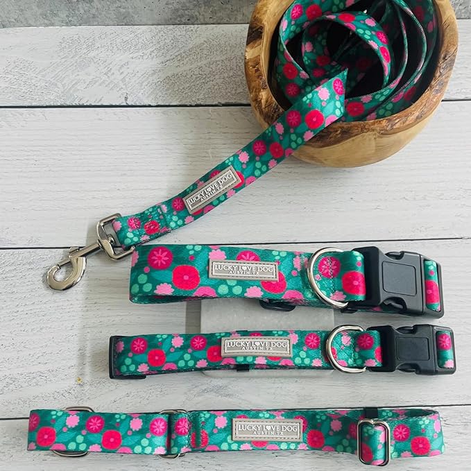 Lucky Love Dog Combo Set, Big Dog Collar & Leash Set for Large Dogs, Colorful Matching Collar and Leash Set for Girl or Boy Dogs, Stripes, Penny Combo, Large