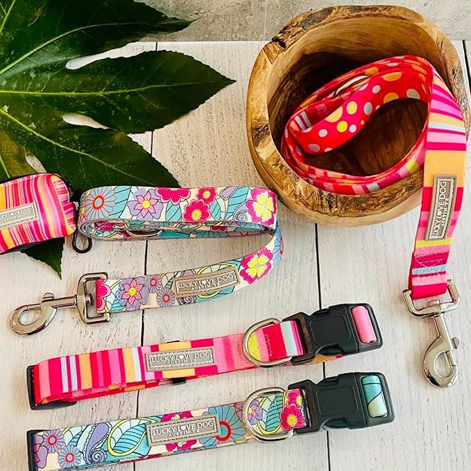 Lucky Love Dog, Colorful Stripes Dog Collar, Yellow, Pink, Blue Color Dog Collar, Cute Dog Collar for Girl Dogs - (Medium, Molly Collar)