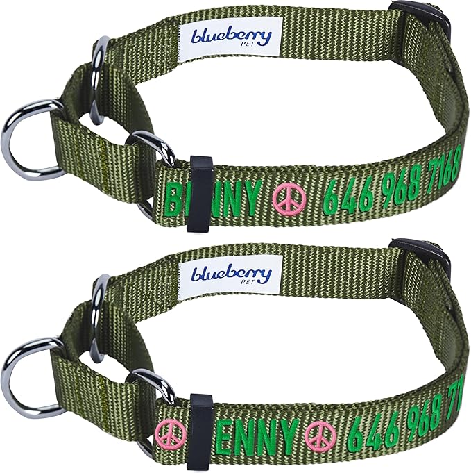 Blueberry Pet Essentials Personalized Martingale Safety Training Dog Collar, Military Green, Large, Adjustable Customized ID Collars for Dogs Embroidered with Pet Name & Phone Number