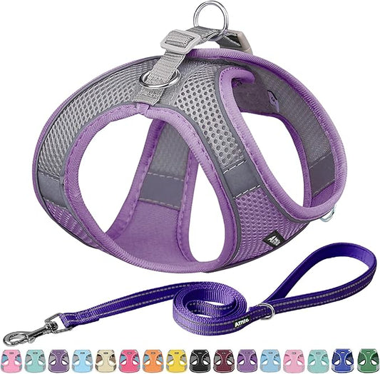 AIITLE Comfortable Dog Harness and Leash Set for Walking - Spring Step in Vest Harness,Reflective Bands, Adjustable No Pull Puppy Essentials, for Small Dogs and House Cats Purple XS