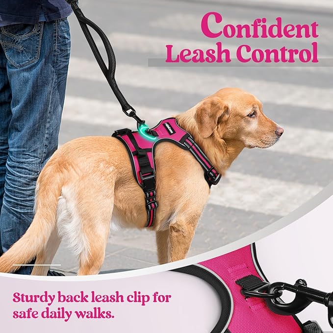 rabbitgoo Dog Harness, No-Pull Pet Harness with 2 Leash Clips, Adjustable Soft Padded Dog Vest, Reflective No-Choke Pet Oxford Vest with Easy Control Handle for Medium Dogs, Hot Pink, M