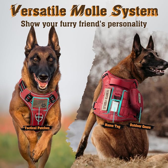 rabbitgoo Dog Harness for Large Dogs No Pull, Tactical Service Dog Vest with Molle and Control Handle, Adjustable and Reflective Military Pet Harness for Easy Walking and Training, Red, L