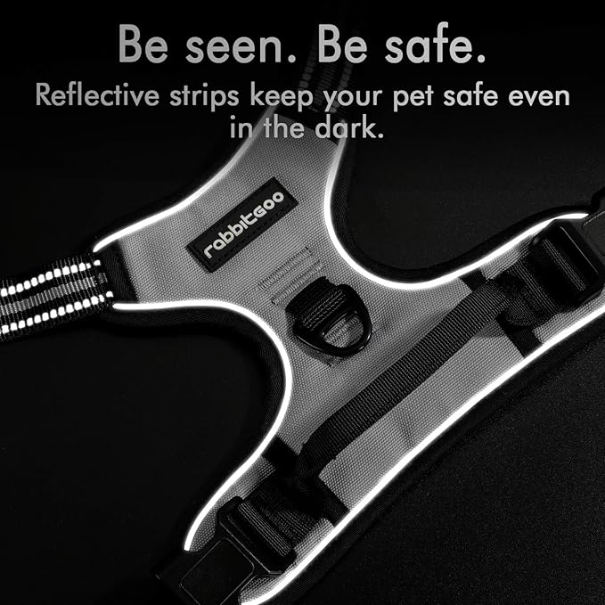 rabbitgoo Dog Harness, No-Pull Pet Harness with 2 Leash Clips, Adjustable Soft Padded Dog Vest, Reflective No-Choke Pet Oxford Vest with Easy Control Handle for Medium Dogs, Grey, M