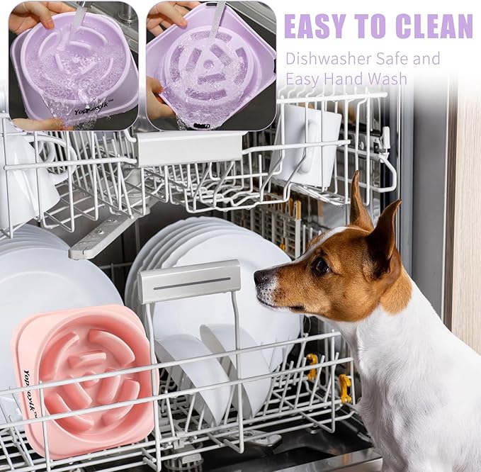 2 Pack Slow Feeder Dog Bowls for Healthy Eating, Non-Slip and Anti-Choking Design, Reduces Bloating & Overeating for Small & Medium Dogs and Cats, Easy to Clean