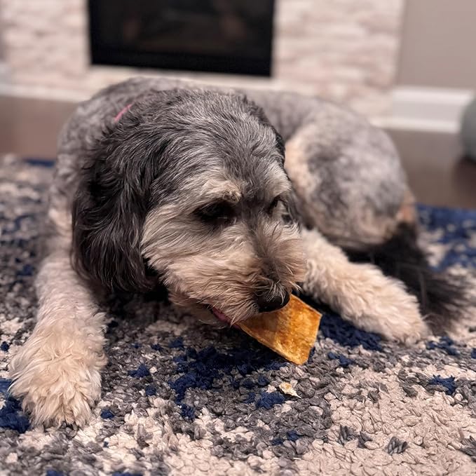 Fieldcrest Farms Nothin to Hide Flip Chips Dog Chews - Natural Rawhide Alternative Treats for Dogs, Collagen Based Snack for Moderate Chewers Up to 35lbs, Chicken Flavor - 2 Packs (16 Chips)