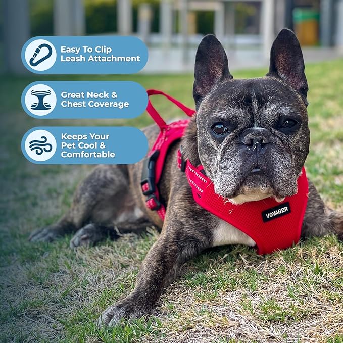 Best Pet Supplies Voyager Adjustable Dog Harness Leash Set with Reflective Stripes for Walking Heavy-Duty Full Body No Pull Vest with Leash D-Ring, Breathable All-Weather - Harness (Red), S