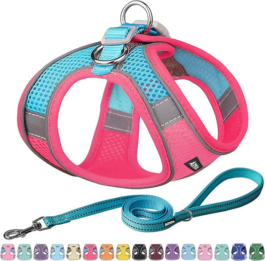 AIITLE Comfortable Dog Harness and Leash Set for Walking - Spring Step in Vest Harness,Reflective Bands, Adjustable No Pull Puppy Essentials, for Small Dogs and House Cats Hot Pink XS