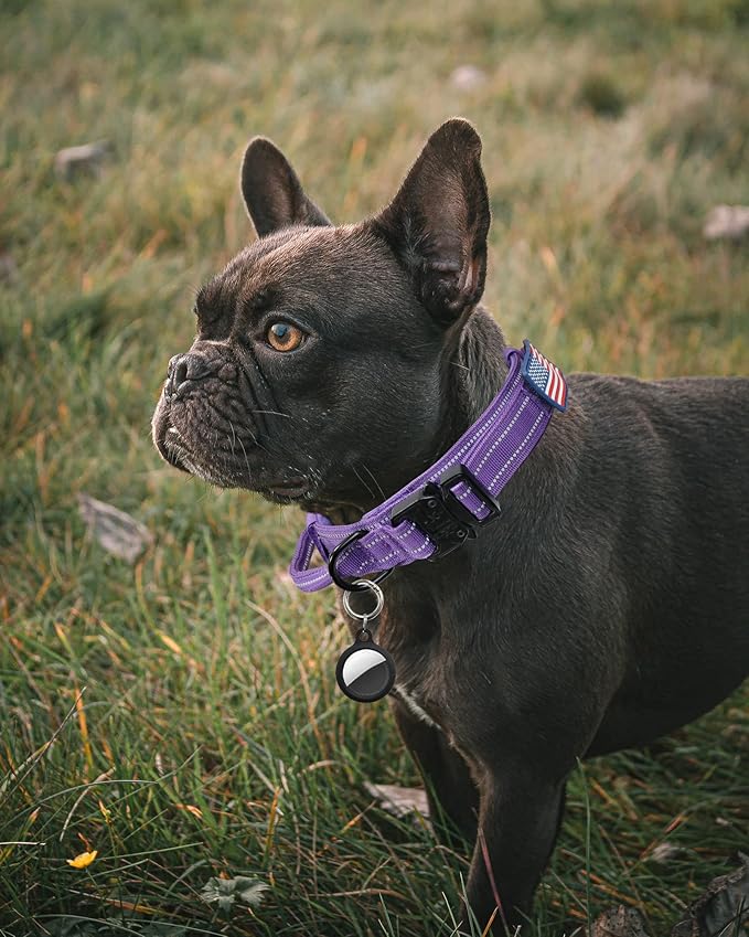 AUBELL Reflective Dog Collar, Tactical Dog Collar for Medium Dogs, Heavy Duty Dog Collar with Handle and Metal Buckle Great for Female Dogs, with Airtag Holder and 2 Patches(Purple, M)