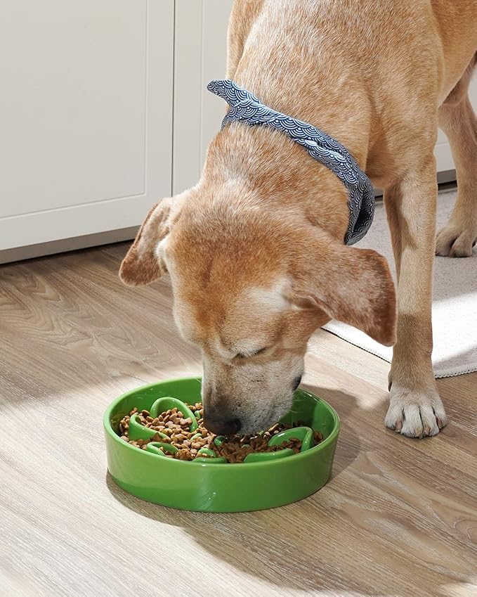 LE TAUCI Slow Feeder Dog Bowls Ceramic, 3 Cups Slow Feeding Dog Bowl Medium Large Breed, Maze Dog Bowl for Fast Eaters, Dog Dishes to Slow Down Eating, Puzzle Dog Food Bowl, Clover Green