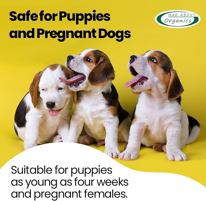 Tahitian Sunset Dog Shampoo - Pure Castile Soap with Essential Oils, Gentle & Conditioning Formula for All Coat Types, Suitable for Dogs 4 Weeks & Older, Mild Scent, 16 oz