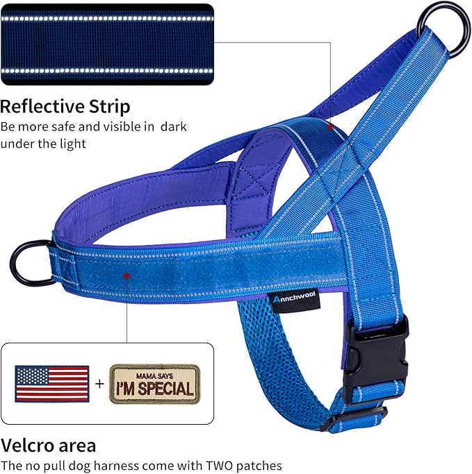 Annchwool No Pull Dog Harness with Padded Handle+5 Ft Leash,Reflective Strip Escape Proof and Quick Fit to Adjust Dog Harness,Easy for Training Walking for Small & Medium and Large Dog(Blue-Set,M)
