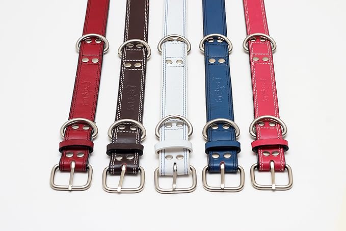 Premium Leather Collars with Stainless Steel Buckles (21"-24", Chocolate)