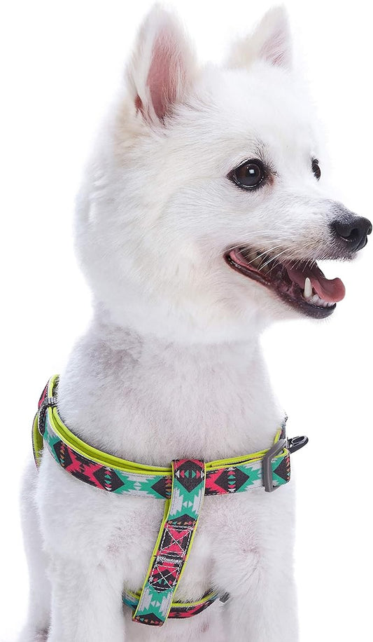 Blueberry Pet 2 Colors Soft & Comfy Step-in Southwestern Vintage Tribal Print Padded Dog Harness, Chest Girth 19.5" - 25.5", Extravagant Green, S/M, Adjustable Harnesses for Dogs