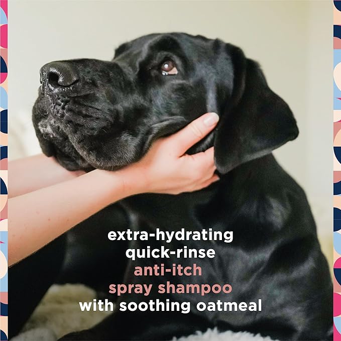 Pet Life Unlimited Dog Shampoo Itchy Skin Relief Foaming Spray, Itch Relief for Dogs - Plant-Based Honey Oat Blossom Scented Dog Itching Skin Relief Spray Shampoo - Made in USA - 16 Ounce (Pack of 1)