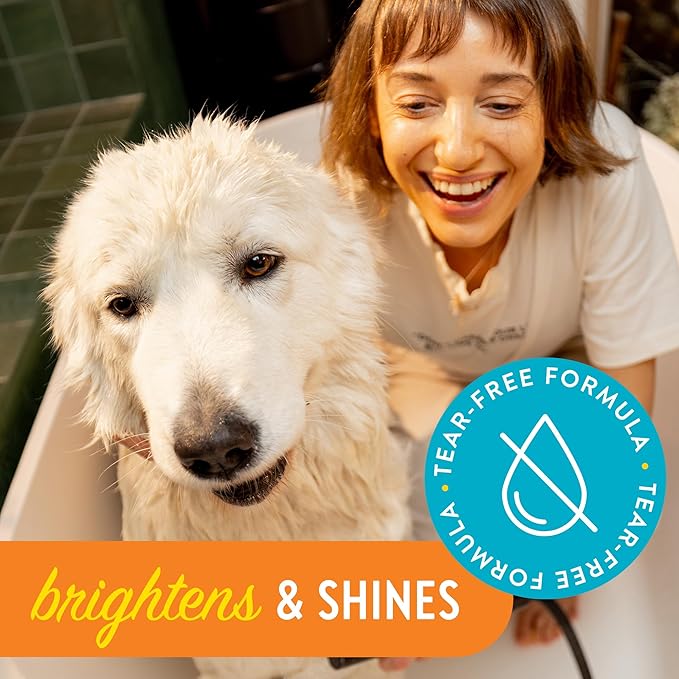 Bright and Shine Shampoo – 12oz Piña Colada Scent | Restoring Shampoo Rich with Soothing Colloidal Oatmeal | Tearless and Alcohol-Free for Everyday Use