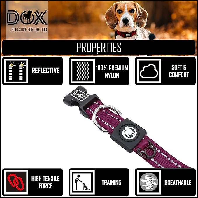 DDOXX Reflective Nylon Dog Collar, S (Purple) - Adjustable, Strong and Comfortable Collar for Dogs with Quick Release Buckle, Durable and Visible for Safety - Dog Leash Ideal for Training and Walks