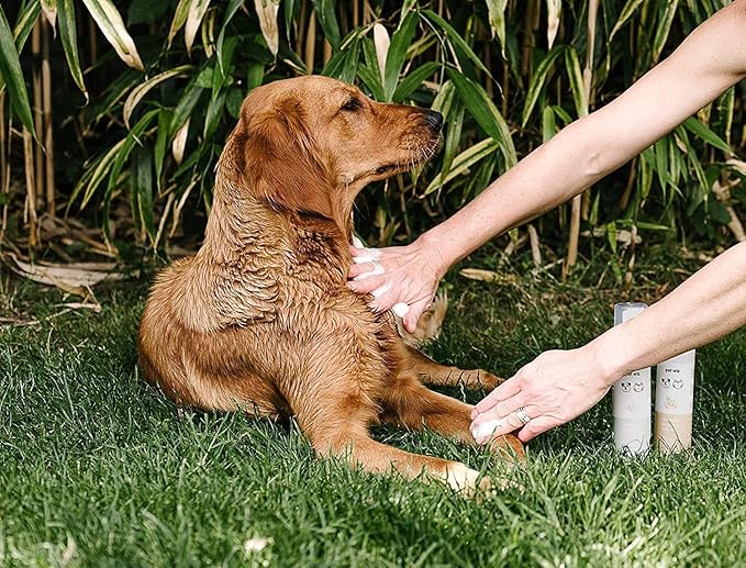 Dry Wash Shampoo for Pets – Soothing & Deodorizing, Natural Ingredients, Quick Drying & No Rinsing Required (Aloe & Oat)