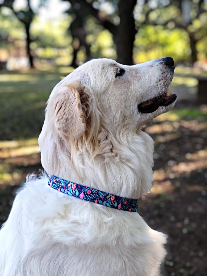 Lucky Love Dog, Blue Winter Pinecones Dog Collar and Leash Set, Vivid Winter Ornaments Dog Collar and Leash for Girl or Boy Dogs - (Small, SweetHoliday Combo)