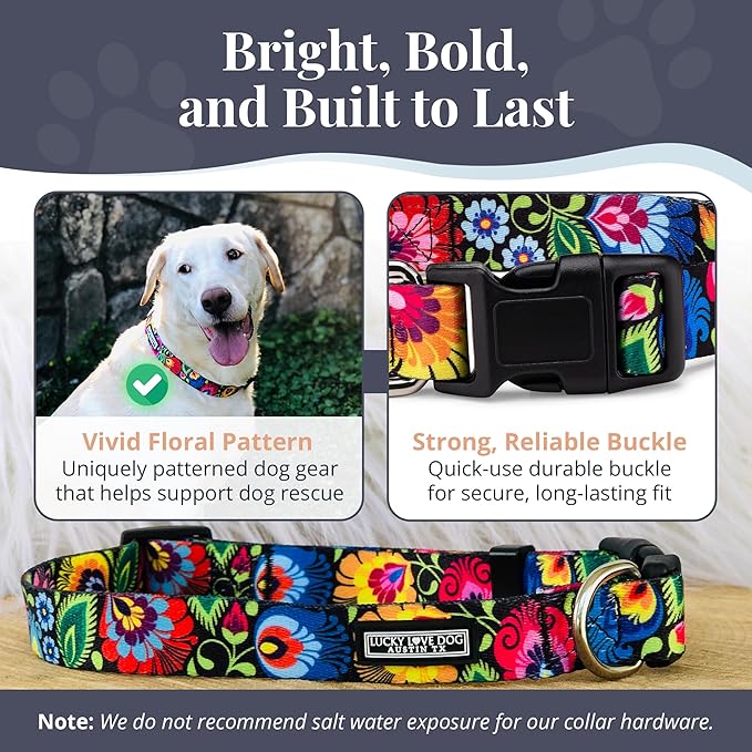 Lucky Love Dog - Adjustable Dog Collar with Easy Click Buckle for Small to Large Dogs, Durable, & Comfortable Collar for Male & Female Dogs, Pet Collar for Puppies & Adult Dogs - Blackbird, Medium