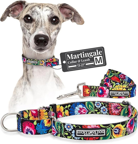 Lucky Love Dog Martingale Collar and Leash Set, Premium No Slip Collar and Leash Set, Floral Vivid Pattern Martingale Collar, Great for Whippets, Greyhounds, and More (Blackbird, Medium - Combo)