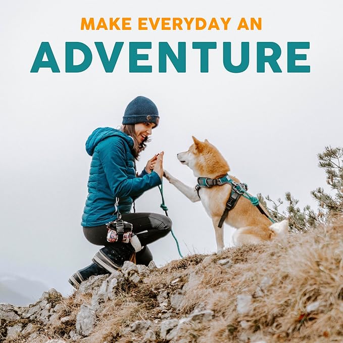 Embark Urban Dog Collar – Dog Collar Stylish & Durable Nylon Dog Collar for Large Dogs, Small Dogs & Medium Dogs.Comfortable Pet Collar Strong Buckles for Any Size Breed (Mayan, Medium)