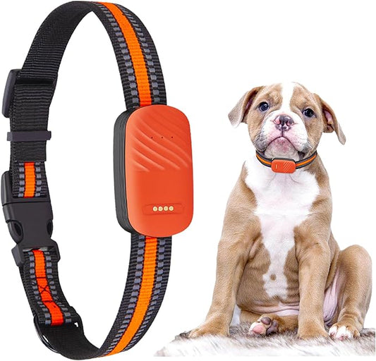Smart Pet GPS Tracker Collar for Dogs, 4G, Real-Time Position Tracking, GPS Dog Tracker, Activity Monitor, Waterproof, Sound Alarm