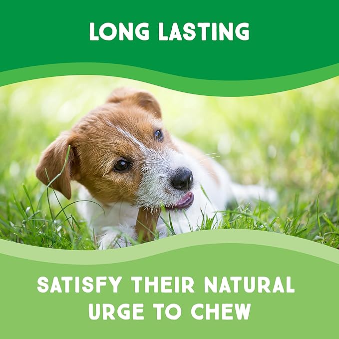 Chips 1-Pound Bag - Premium Large Dog Rawhide Chews - Ideal for Agressive Chewers Dog Rawhide Treats - Durable Rawhide Bones for Large Dogs