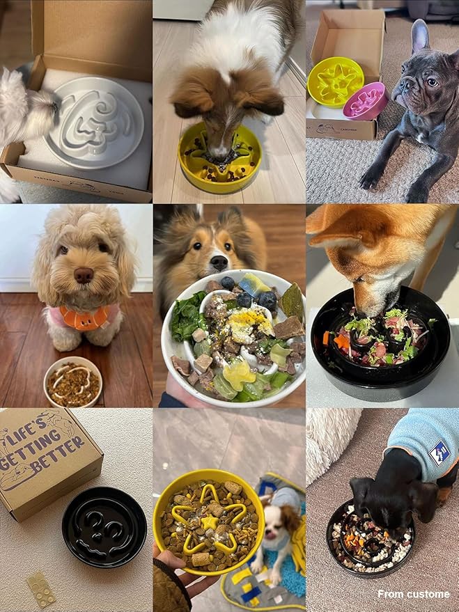 LE TAUCI Dog Bowls Slow Feeder Ceramic, 1.5 Cups Slow Feeding Dog Bowl Small Medium Breed, Puppy Slow Feeder Bow for Fast Eaters, Dog Dishes to Slow Down Eating, Puzzle Dog Food Bowl,Skull Black