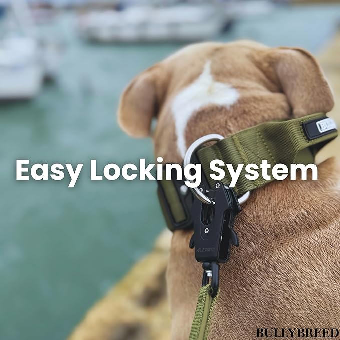BULLYBREED Premium Dog Colar with Handle, Heavy Duty Dog Collar, Tactical Dog Collar, Quick-Release Metal Buckle, Puppy Collar, Dog Collar for Small Dogs, Dog Collar for Medium Dogs (Brown, Small)