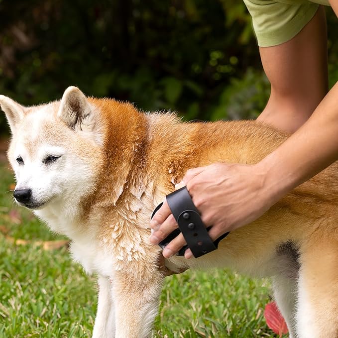 6-in-1 Itch Relief Dog Shampoo with Brush - Tearless Shampoo for Dogs Cleanses, Soothes, Refreshes and Moisturizes While Offering Itch Relief, 480ml