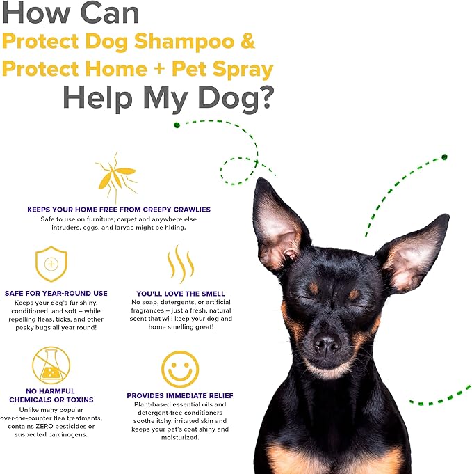 Protect Shampoo and Protect Spray for Dogs; No More Scratching, Itching, or Hot Spots with Plant-Based All-Natural Formula with Healthy Essential Oils - Made in USA