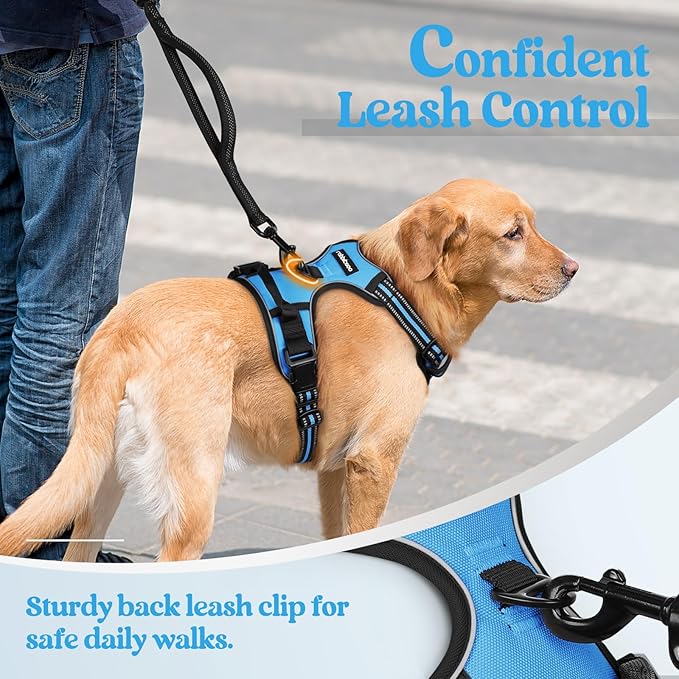rabbitgoo Dog Harness, No-Pull Pet Harness with 2 Leash Clips, Adjustable Soft Padded Dog Vest, Reflective No-Choke Pet Oxford Vest with Easy Control Handle for Medium Dogs, Blue, M