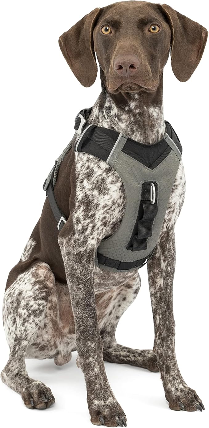 Kurgo Journey Air Dog Harness, Vest Harnesses for Dogs, Pet Hiking Harness for Running & Walking, Reflective, Padded, Includes Control Handle, No Pull Front Clip (Black, Medium)