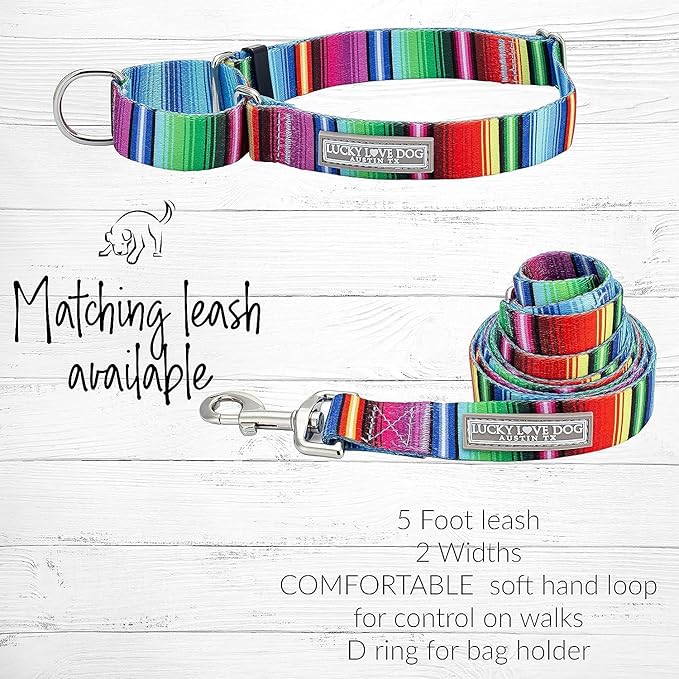 Lucky Love Dog Martingale Collar and Leash Set, Premium No Slip Collar and Leash Set, Colorful Striped Martingale Dog Collar, Great for Whippets, Greyhounds, and More (Large, Nacho - Combo)