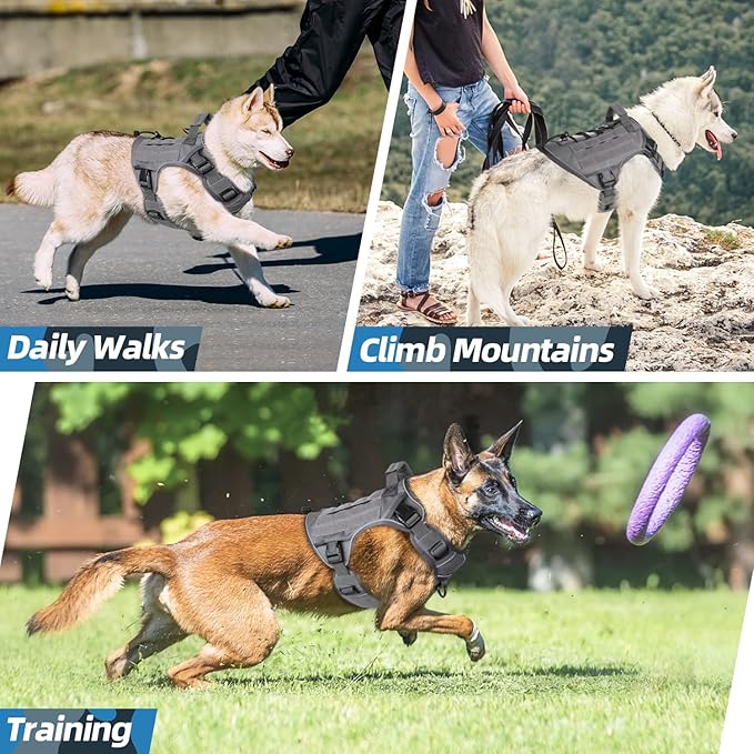 WINGOIN Grey Harness with Handle, Metal Buckles Tactical Dog Harness Vest for Large Medium Dogs No Pull Adjustable Reflective K9 Military Dog Vest Harnesses for Walking, Hiking, Training(M)