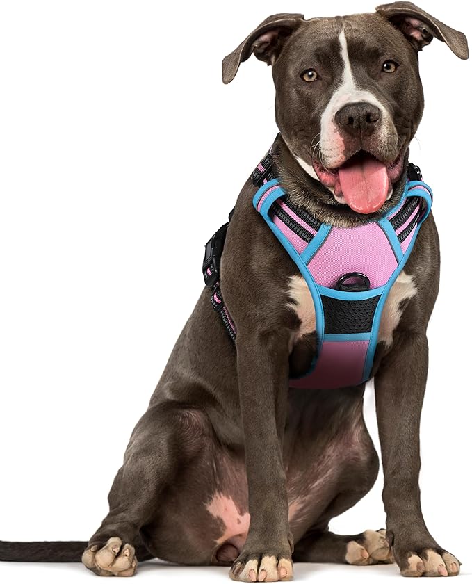 rabbitgoo Dog Harness, No-Pull Pet Harness with 2 Leash Clips, Adjustable Soft Padded Dog Vest, Reflective No-Choke Pet Oxford Vest with Easy Control Handle for Large Dogs, Pink & Blue, L