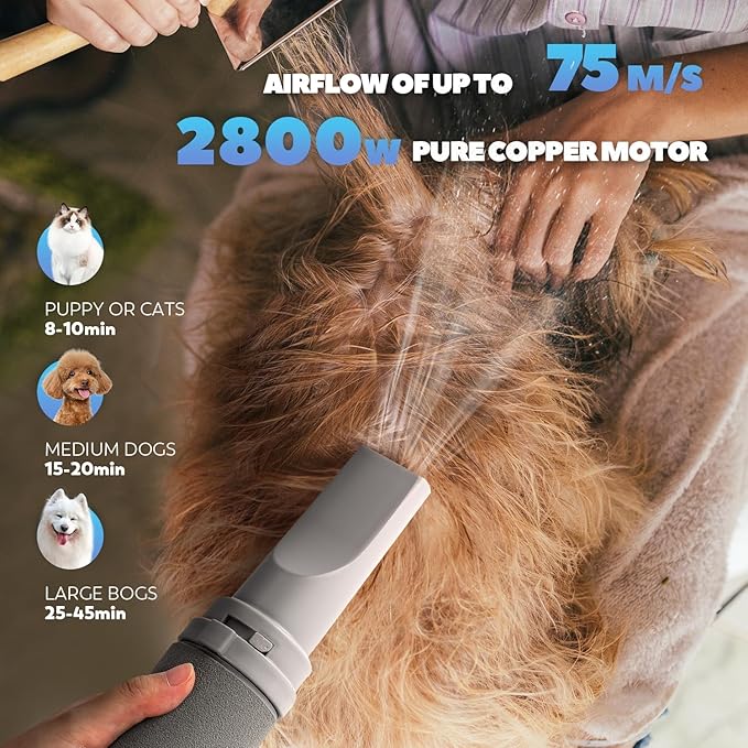 Dog Dryer for Pet Grooming, Blow & Vacuum 2-in-1 Dog Hair Dryer, 3.5HP/2800W High Velocity Blow Dryer for Pet, Adjustable Temperature 95-140℉ & Airflow 15-75M/S with 4 Nozzles/Extra Filter/Towel/Brush