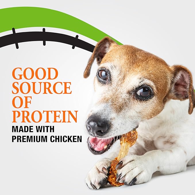 Good 'n' Fun FrankenBones with Chicken, 2 Ounce, Chews with Rawhide for Small Dogs