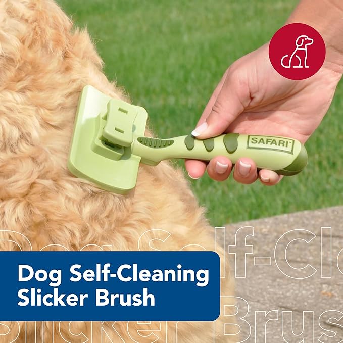 Coastal Pet Safari Dog Self-Cleaning Slicker Brush - Dog Deshedding Brush - Prevents Mats and Tangled Hair - For Dogs with Short or Long Hair - Small - 7" x 3.6"