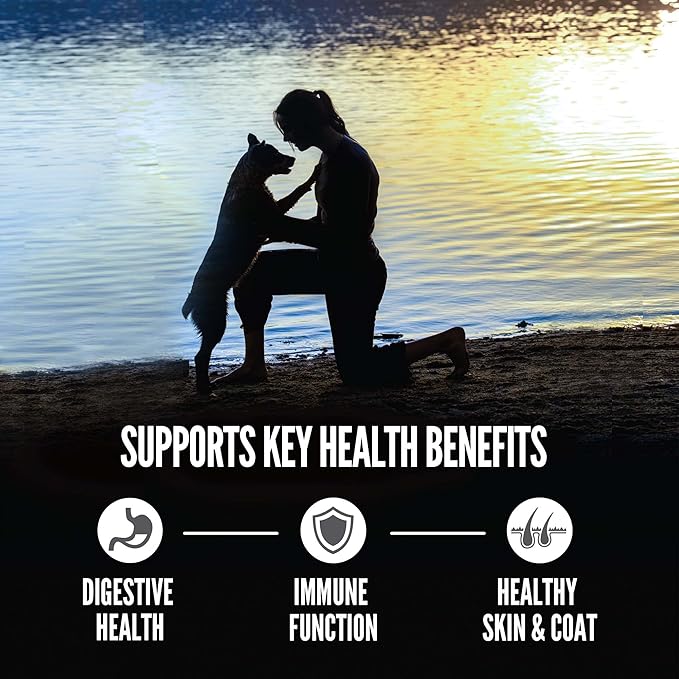 ORIJEN Amazing Grains Six Fish Recipe Dry Dog Food, High Protein Dog Food, Fresh or Raw Ingredients, 4lb