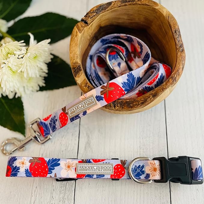 Lucky Love Dog Collar Combo Set, Strawberry Cute Girl Dog Collar and Leash Set, Dog Collar and Leash Set for X-Small Dogs, Part of Purchase Donated to Rescue (Extra Small, Sweet Berry, Combo)