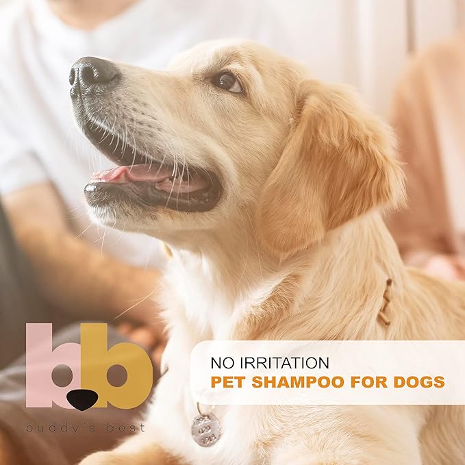 Buddy's Best Dog Shampoo for Smelly Dogs - Skin-Friendly, Oatmeal Dog Shampoo and Conditioner for Dry and Sensitive Skin - Moisturizing Puppy Wash Shampoo, Citrus Fresh Scent, 16oz