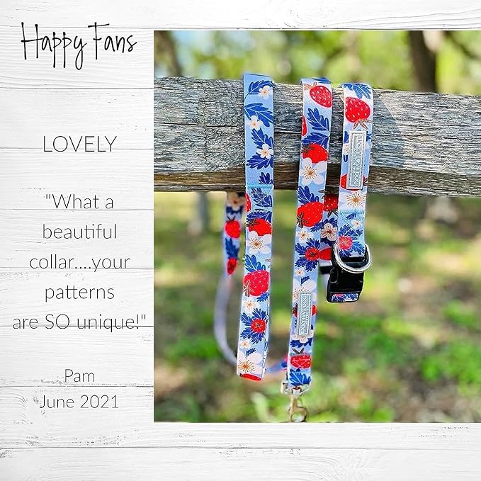 Lucky Love Dog Martingale Collar and Leash Set, Premium Fun Girl No Slip Collars, Strawberry Martingale Dog Collar and Leash Set, Great for Whippets, Greyhounds, and More (Sweet Berry, Medium - Combo)