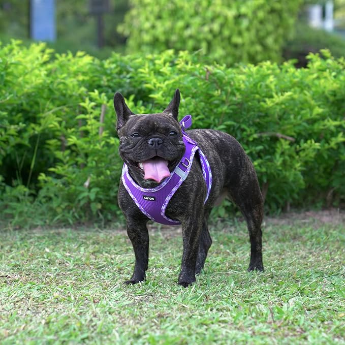 AMTOR Small Dog Harness with Leash Set, No Escape Easy Walk Puppy Harnesses for Training Walking, Step-in Reflective Soft Dogs Vest for XS S Medium Extra-Small Large Sized Dog(Purple,XS)