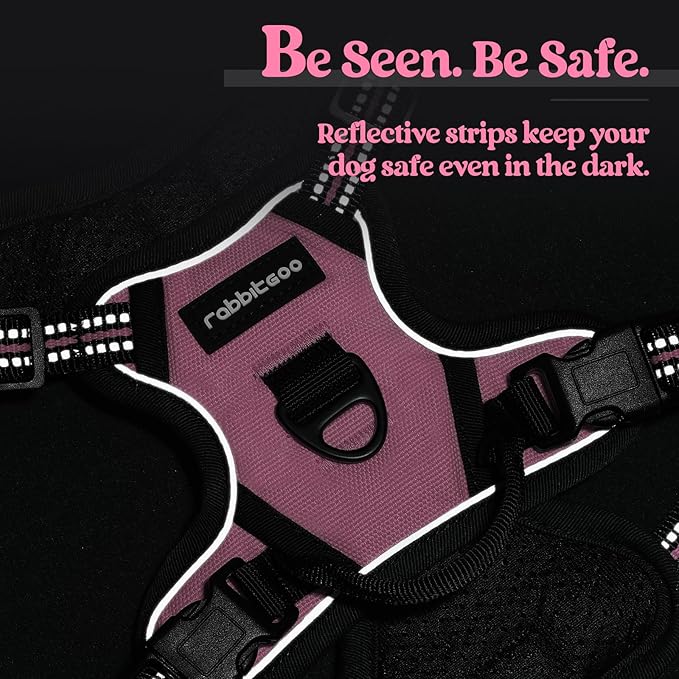 rabbitgoo Dog Harness, No-Pull Pet Harness with 2 Leash Clips, Adjustable Soft Padded Dog Vest, Reflective No-Choke Pet Oxford Vest with Easy Control Handle for Small Dogs, Pink, XS