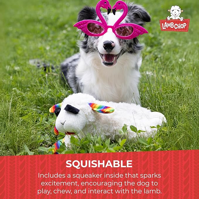 Multipet Lamb Chop Dog Plush Toy w/Birthday Hat - Squeaky Dog Toy for All Dogs - Soft Plush Dog Toy - Stuffed Animal Dog Toy for Playing - Cute Dog Birthday Toy (10.5”, Pink Hat, 5 Squeakers)
